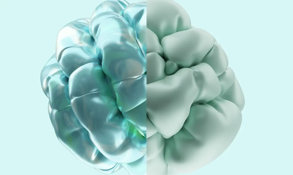 Mide-beyin bağlantısını temsil eden bağırsak mikrobiyomu görseli, ruh hali üzerindeki etkisini gösteriyor.