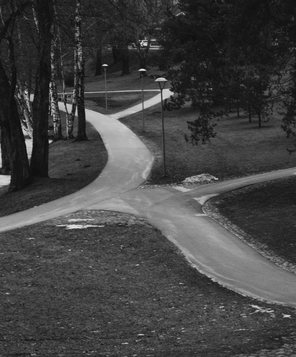 İkiye ayrılan kariyer yollarını temsil eden orman yolunda gidilen yönleri gösteren manzara fotoğrafı.
