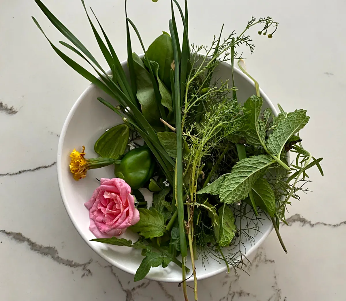 Şehir ortamında yabani yenilebilir bitkilerin güvenli şekilde toplanmasını gösteren kentsel toplama rehberi görseli.