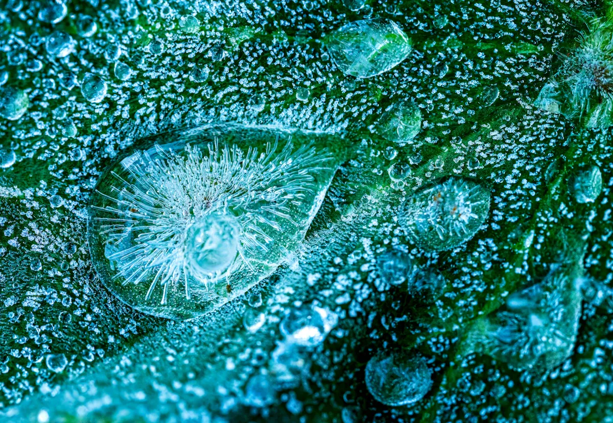 Ocean phytoplankton under microscope, glowing green cells floating in deep blue water