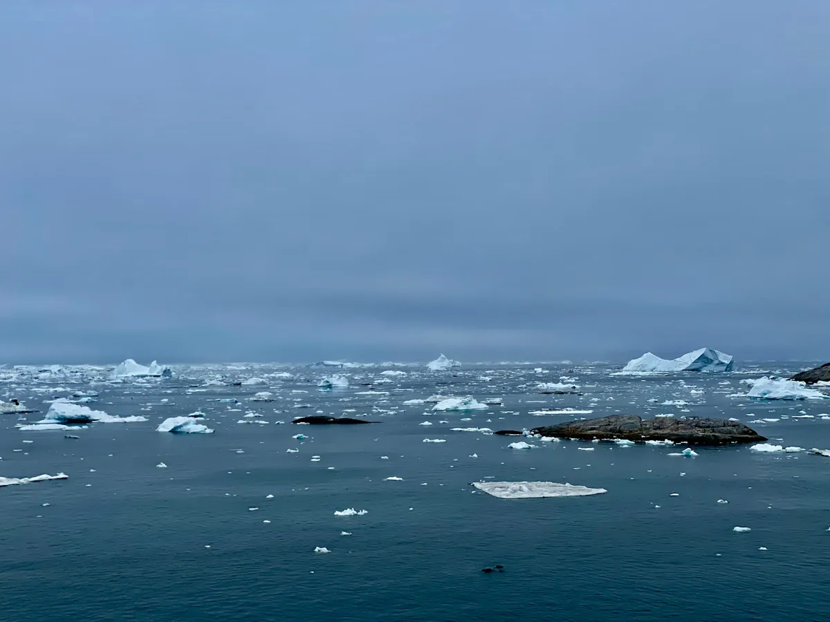 Underwater view of a large school of fish swimming in warm blue ocean waters affected by rising temperatures
