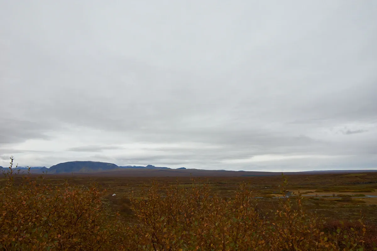 Sibirya tundrasında buzlu manzara, Homo juluensis keşfiyle evrim ağacımızdaki yeni dalı temsil ediyor.