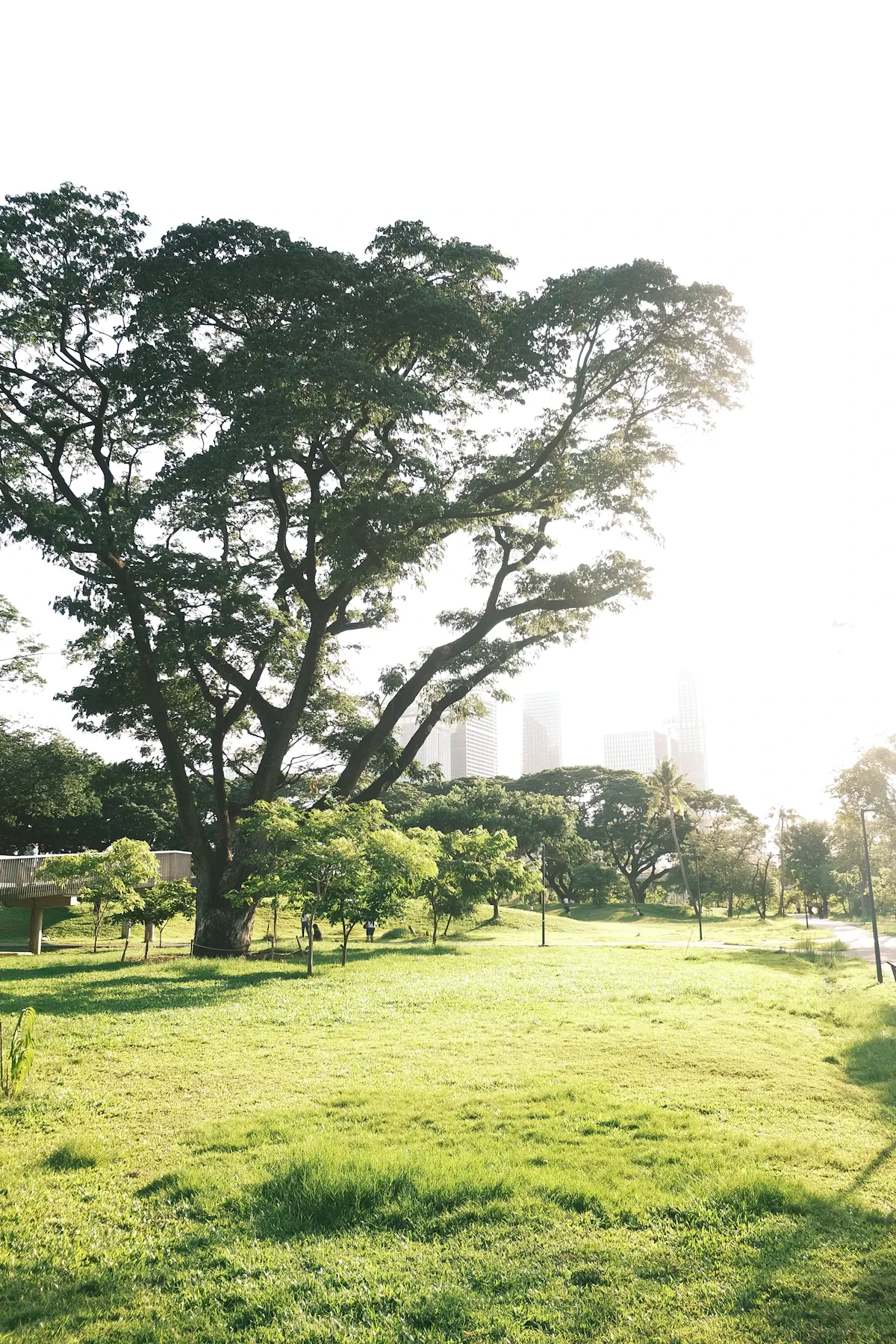 Şehir merkezindeki yeşil park alanı, kentsel yenileme ve gentrifikasyon tartışmalarını akla getiriyor.